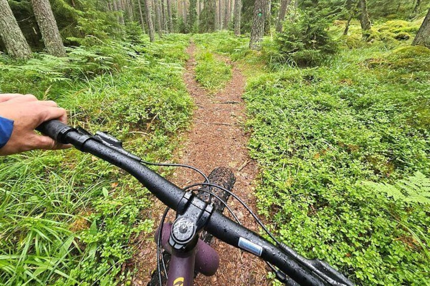 Stockholm Fat Bike Forest Adventure with Lunch and Sauna 4