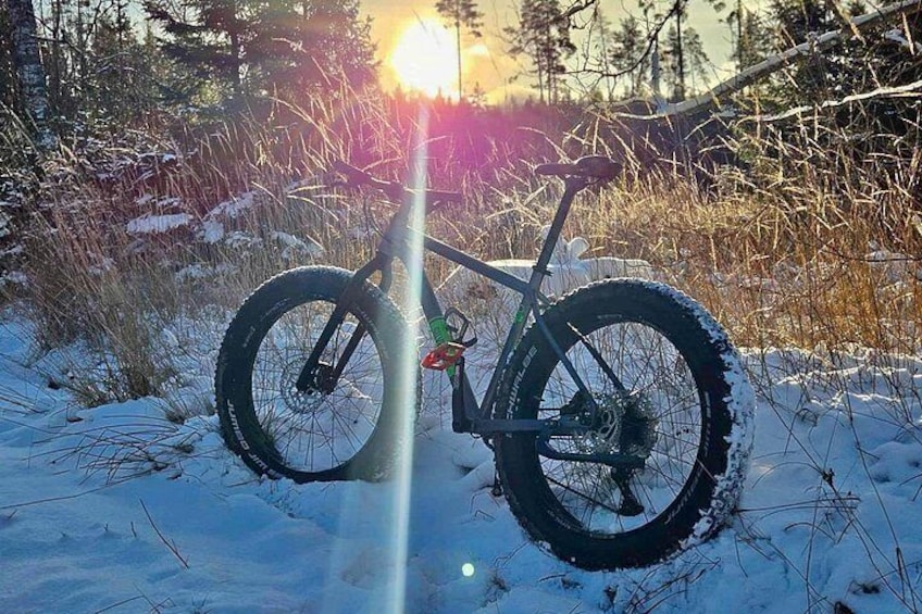 Stockholm Fat Bike Forest Adventure with Lunch and Sauna 3