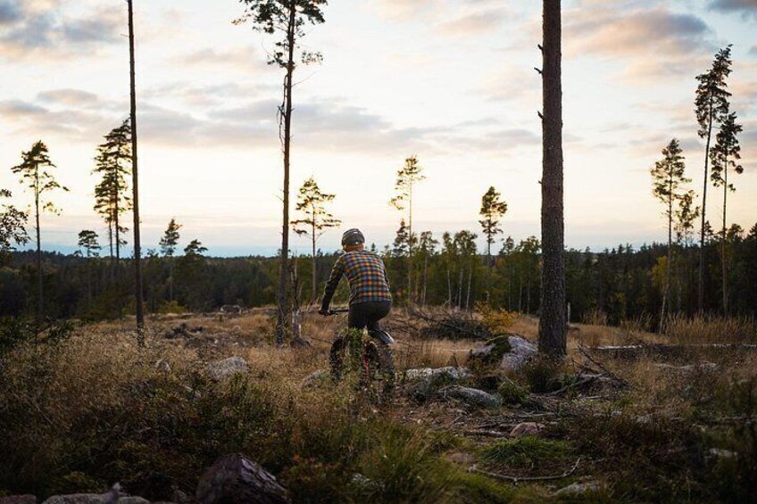 Stockholm Fat Bike Forest Adventure with Lunch and Sauna 2