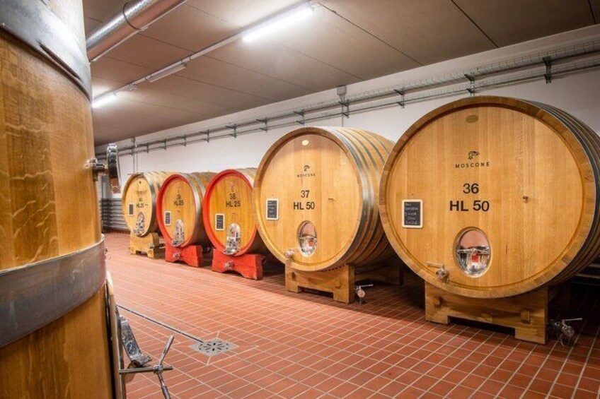 Explore and Savor a Dynamic Wine Tasting at Cantina Moscone 3