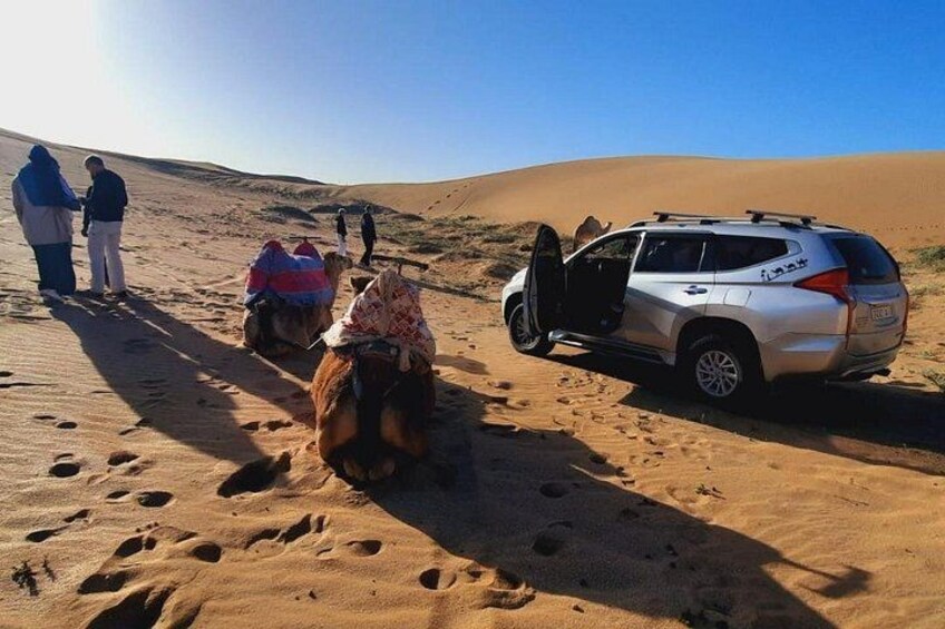Agadir or Taghazout Full Day Trip to Tiznit and Desert Safari 2