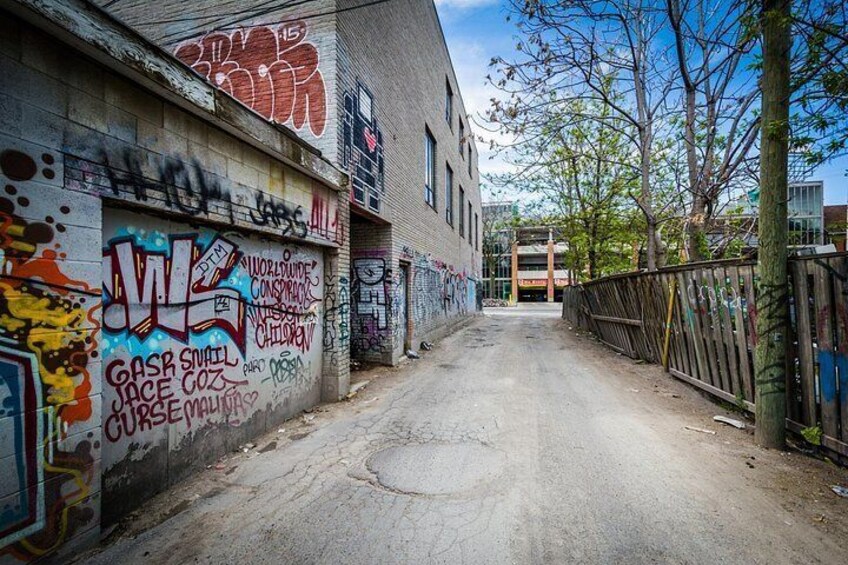 A narrow alley with graffiti-covered walls, a dirt path, and a fenced area with trees. 4