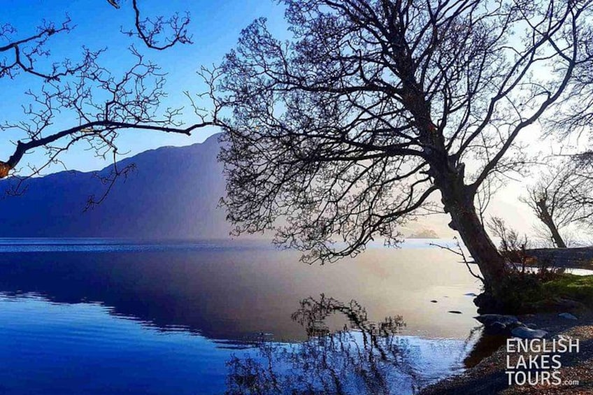 A calm lake with a tree in the foreground and mountains in the background. 4