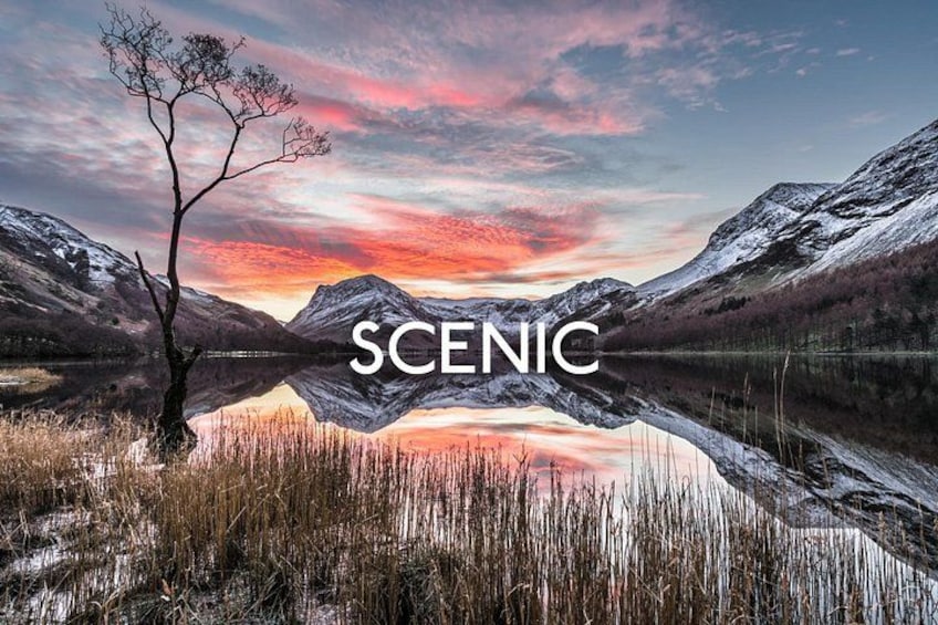 A scenic landscape with a lake, mountains, and a tree in the foreground. 1