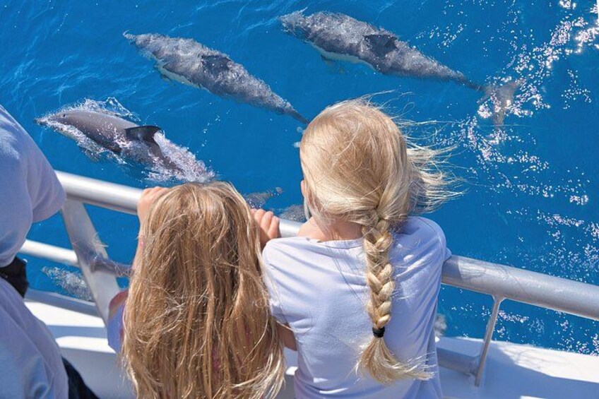 Children viewing Dolphins 1