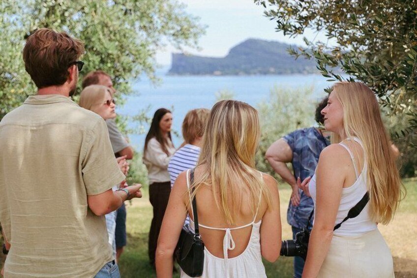 Olive Oil Tasting with Local Food on Lake Garda Hills 3