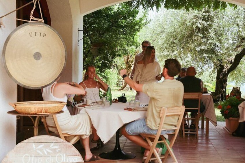 Olive Oil Tasting with Local Food on Lake Garda Hills 5