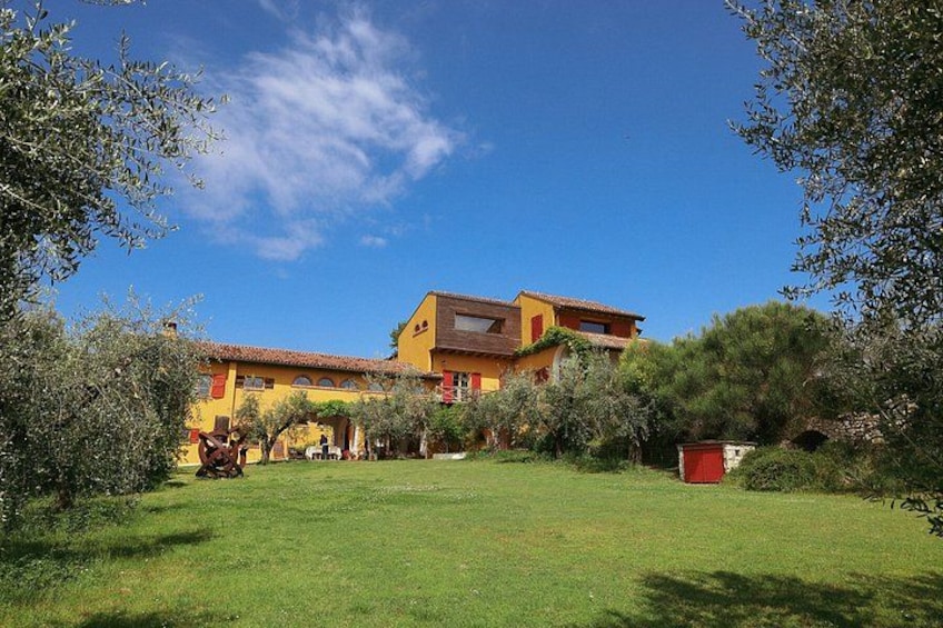 A yellow house with a red roof, surrounded by green grass and trees. 3