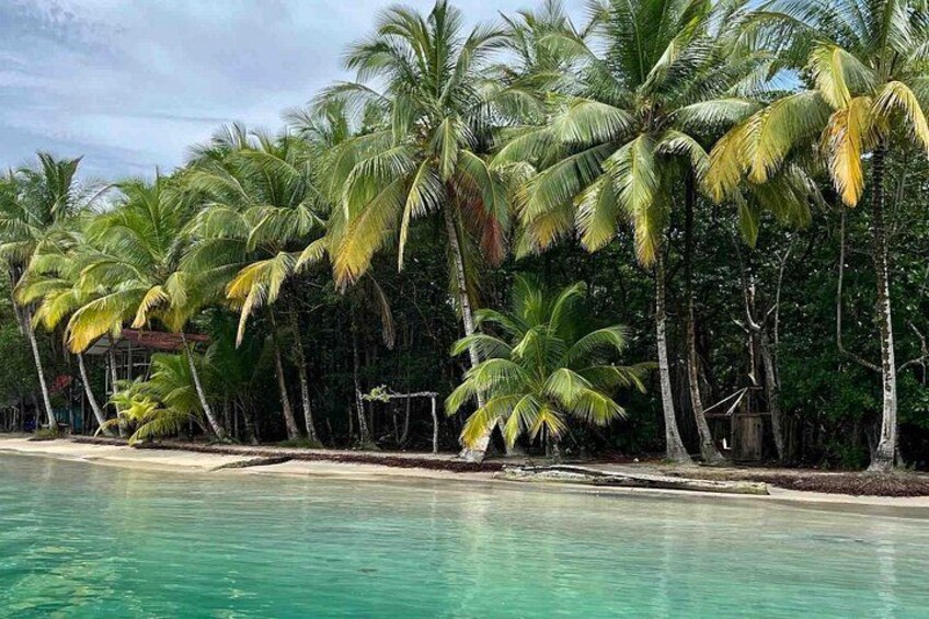 Una playa con agua turquesa cristalina, palmeras y una pequeña estructura al fondo. 5