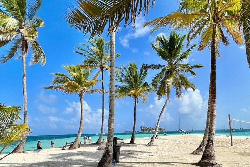 Een strand met palmbomen, een helderblauwe lucht en de oceaan. 1