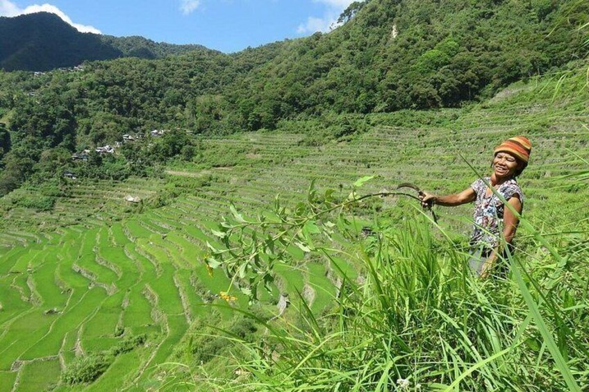 Sagada and Banaue Rice Terraces 4-Day Tour 2