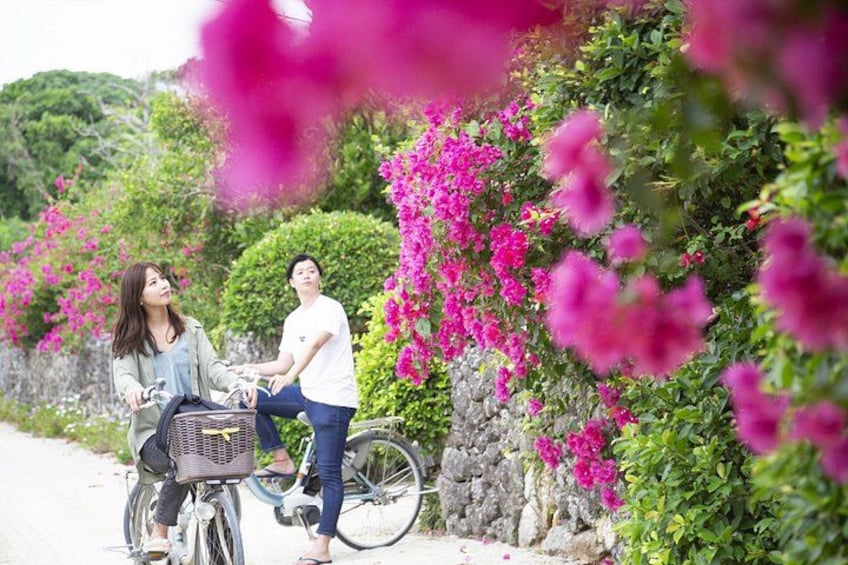 Ishigaki Phantom Island Snorkeling Taketomi Island Sightseeing 3