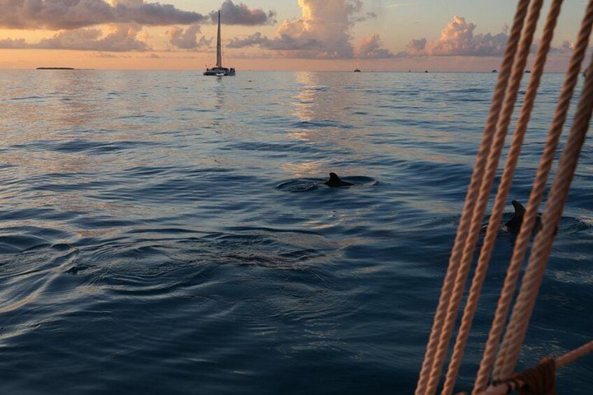Classic Key West Schooner Sunset Sail with Full Open Bar 4