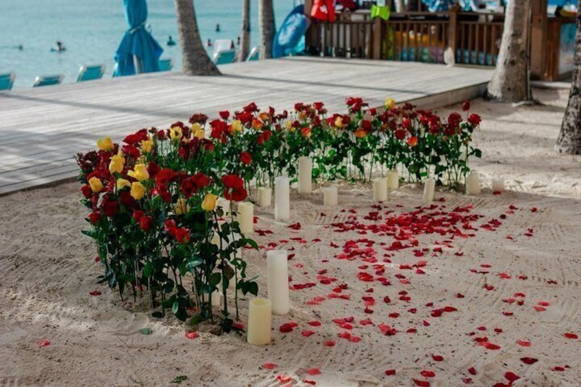 Proposal in Roatan with Professional Photographer 2