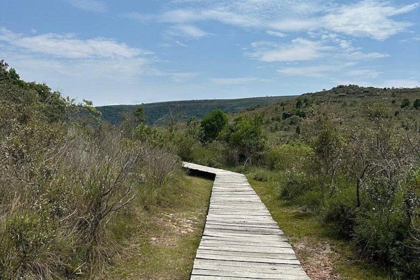 Guided tour to the Canyon of Guartelá 5