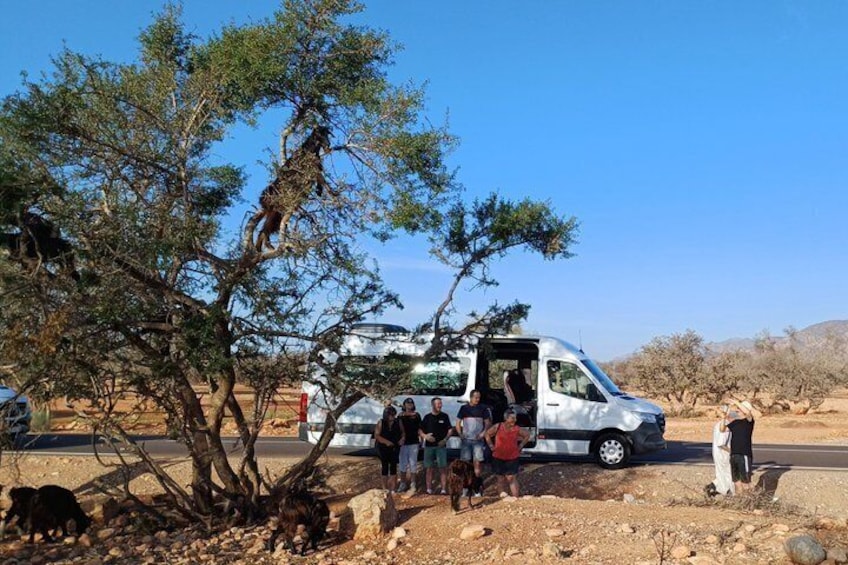 Tiout Taroudant Private Tour Check-out from Agadir 4