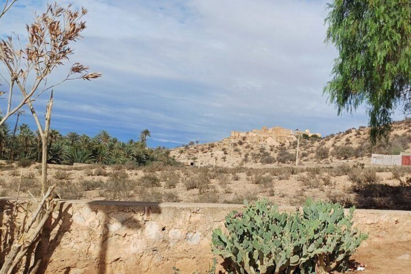 Tiout Taroudant Private Tour Check-out from Agadir 5