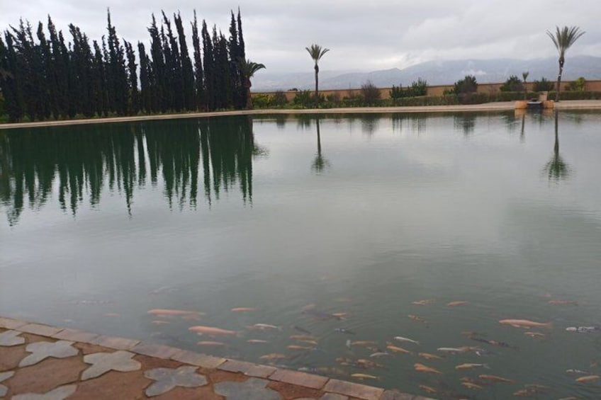 Tiout Taroudant Private Tour Check-out from Agadir 2