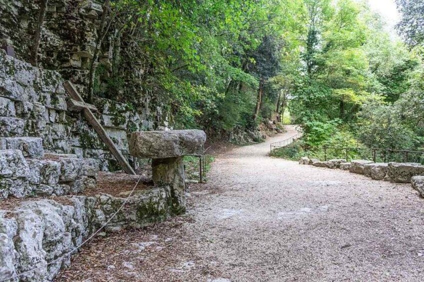 Assisi to the Hermitage of Carceri Roundtrip Transfer 2