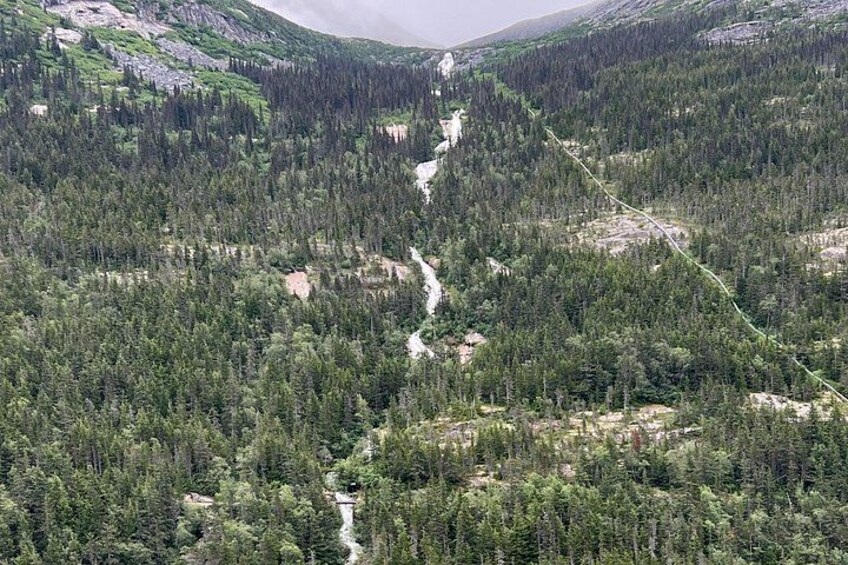 Une forêt dense traversée par une rivière. 5