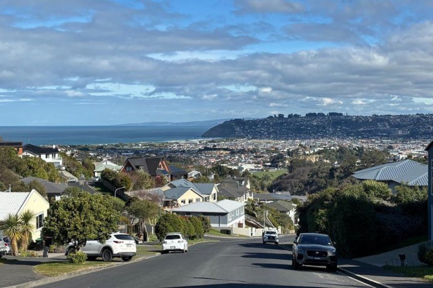 Guided Dunedin City & Otago Peninsula Small Group Tour 3