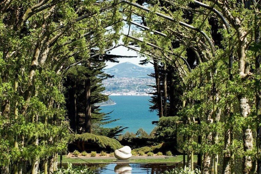 Guided Dunedin City & Otago Peninsula Small Group Tour 1