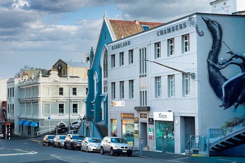 Guided Dunedin City & Otago Peninsula Small Group Tour 5