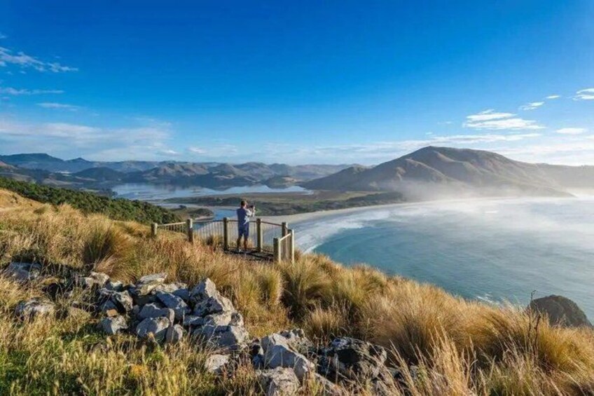 Guided Dunedin City & Otago Peninsula Small Group Tour 2