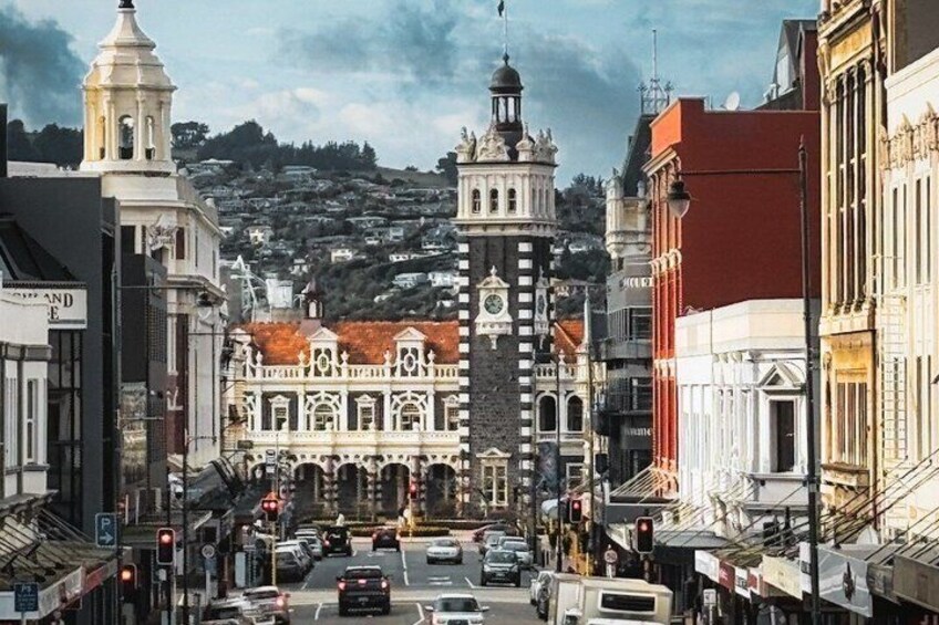 Guided Dunedin City & Otago Peninsula Small Group Tour 2