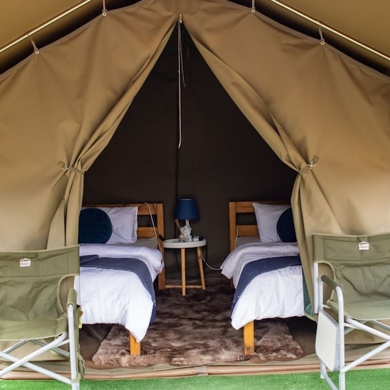 Picture 3 for Activity From Johannesburg: 2-Day Kruger National Park Tented Safari 3