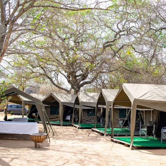 Picture 1 for Activity From Johannesburg: 2-Day Kruger National Park Tented Safari 5
