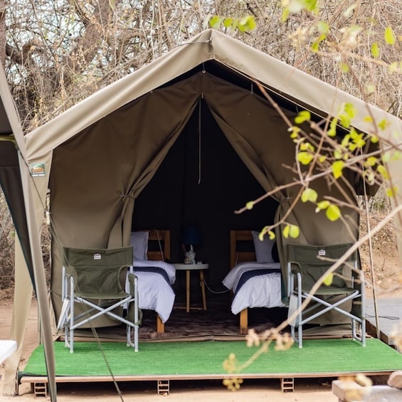 From Johannesburg: 2-Day Kruger National Park Tented Safari 1