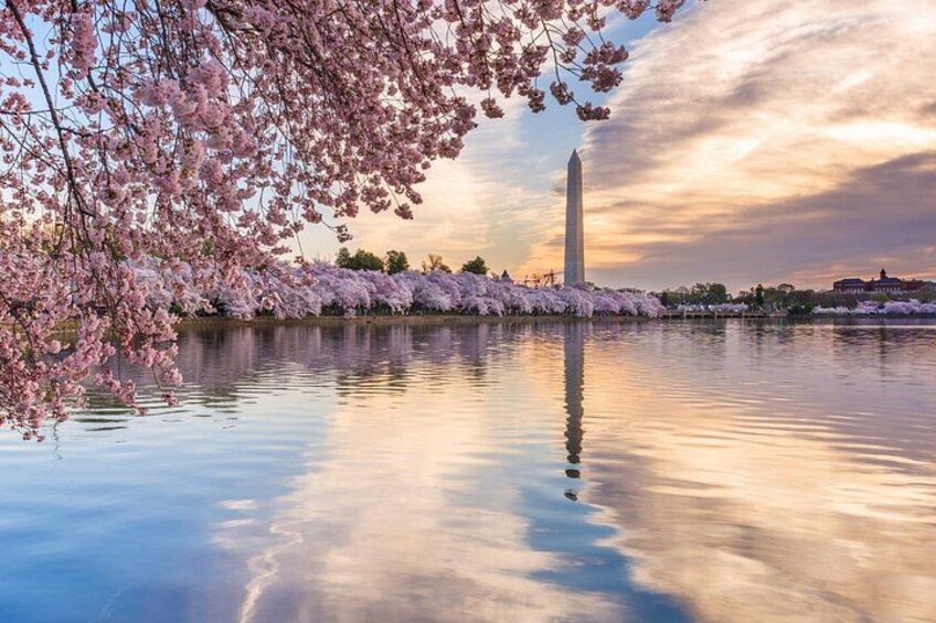 Washington DC Scavenger Hunt & Self-Guided Walking Tour 1