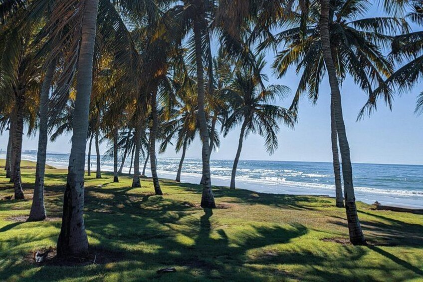 A beach with palm trees and ocean waves. 2