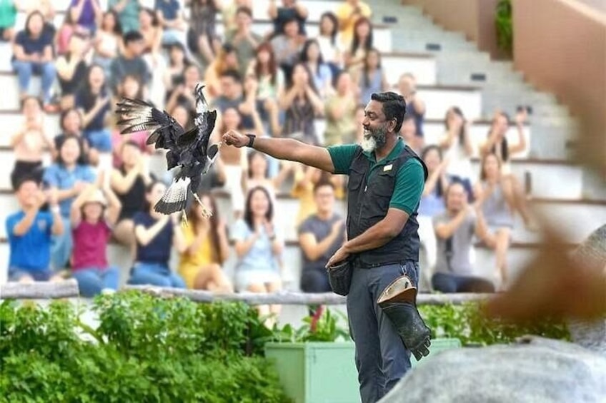 Singapore Bird Paradise E-Tickets 3