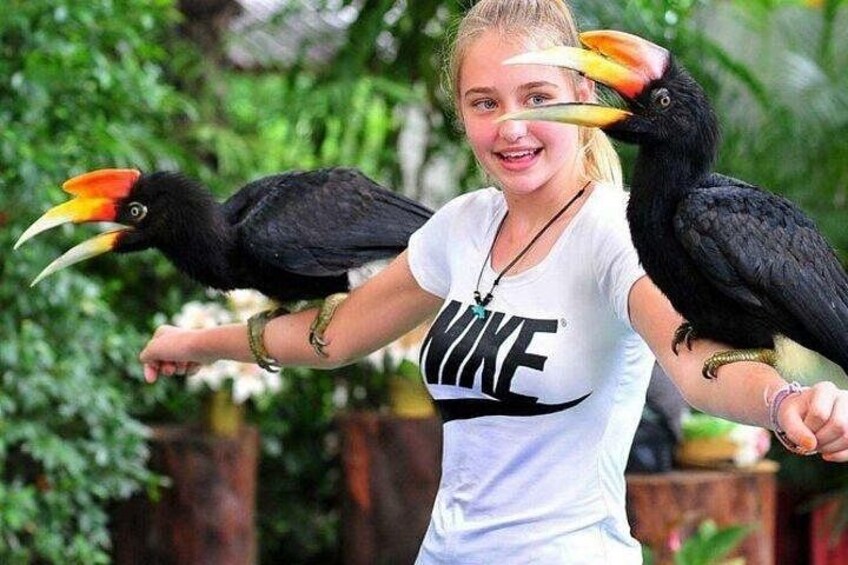 Singapore Bird Paradise E-Tickets 1