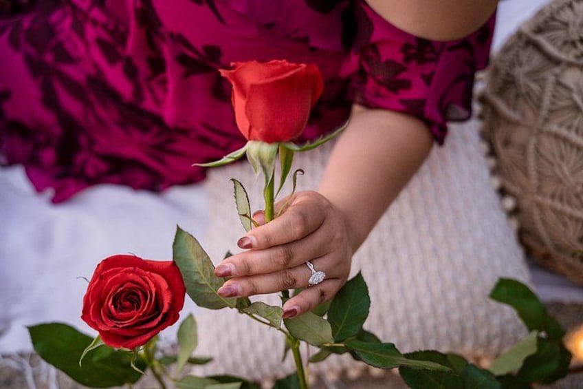Eine Hand hält eine rote Rose, eine weitere Rose liegt daneben. 3
