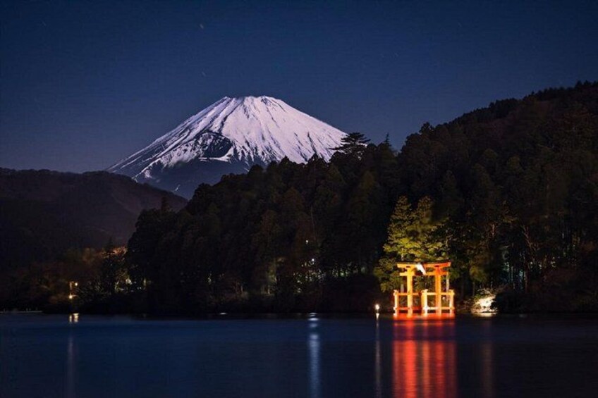 Mt Fuji or Hakone Private Day Tour 3