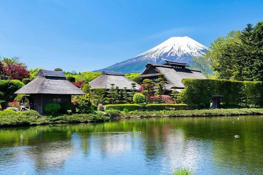 Mt Fuji or Hakone Private Day Tour 2