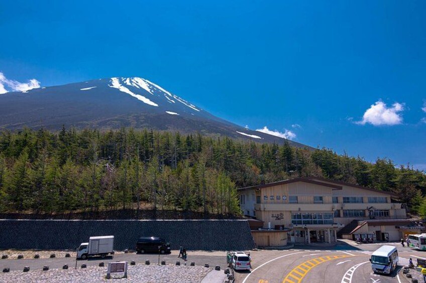 Mt Fuji or Hakone Private Day Tour 3