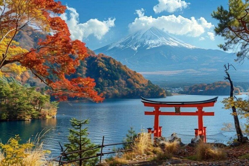 Mt Fuji or Hakone Private Day Tour 2
