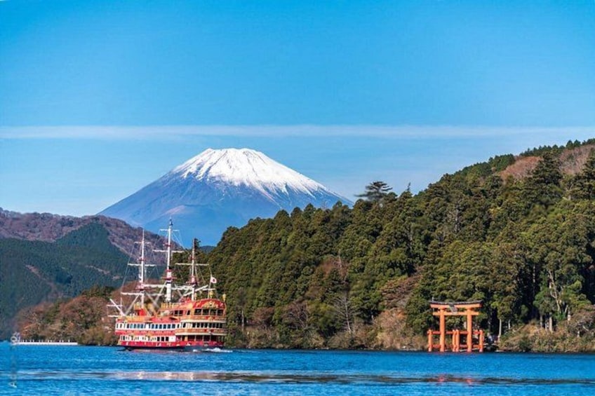 Mt Fuji or Hakone Private Day Tour 1