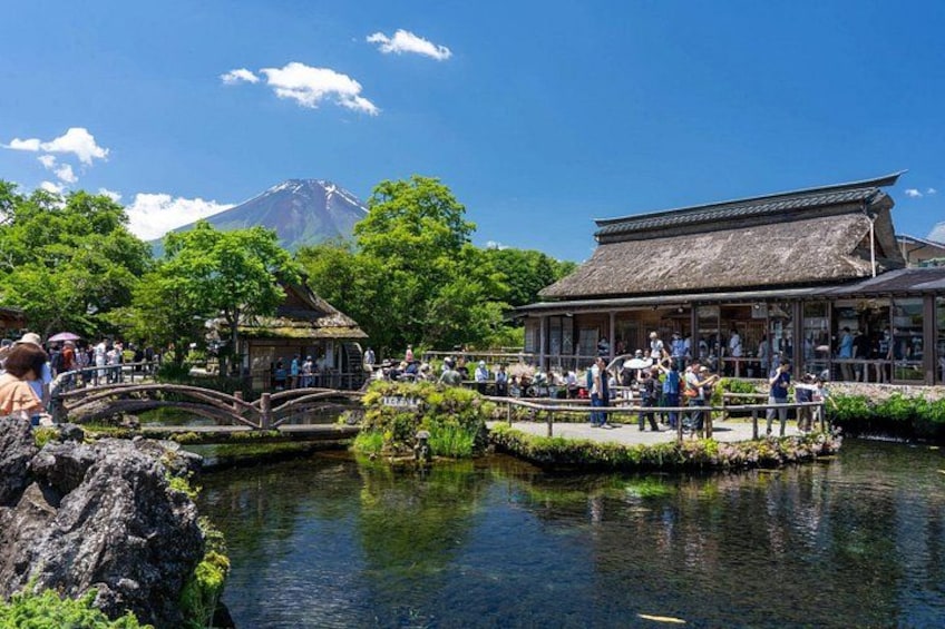 Mt Fuji or Hakone Private Day Tour 2