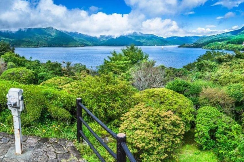Mt Fuji or Hakone Private Day Tour 3
