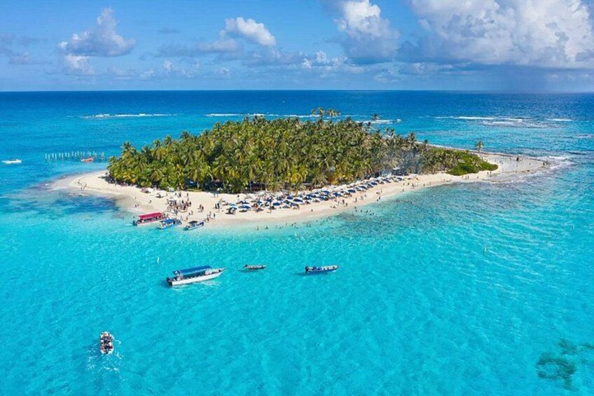 A tropical island with a beach, palm trees, and clear blue waters. 1
