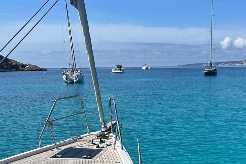 Mallorca: Private sailing tour with drinks & tapas 4
