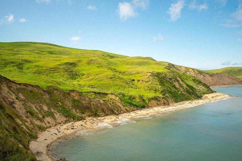 A coastal landscape with green hills, a sandy beach, and calm sea. 2