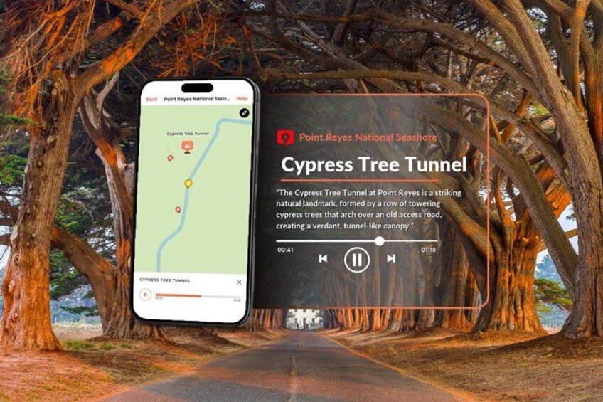 Een smartphone toont een kaart met een markering voor de Cypress Tree Tunnel in Point Reyes National Seashore. 4