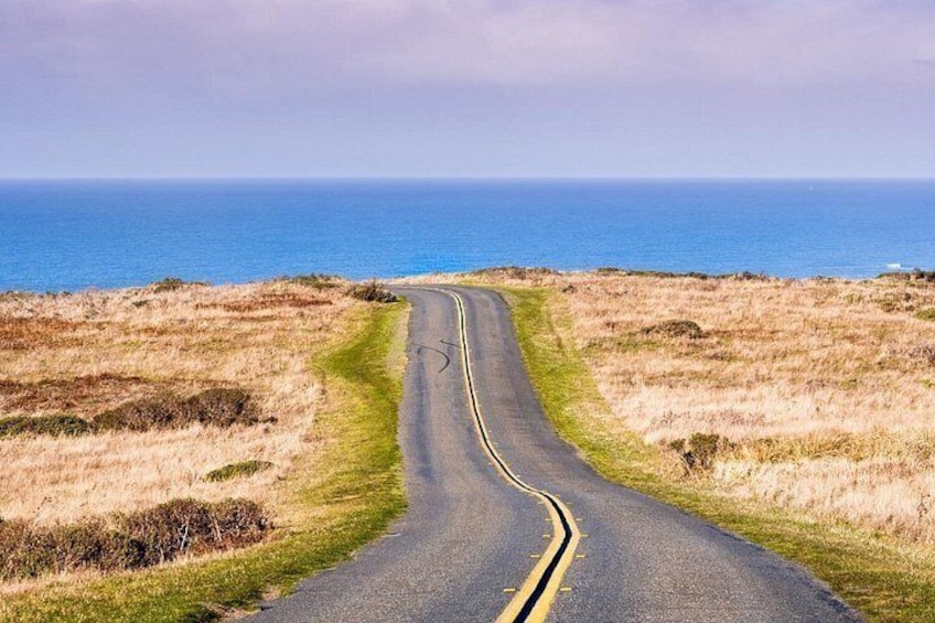 Self-Guided Audio Driving Tour of Point Reyes National Seashore 3