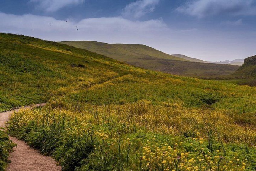 Self-Guided Audio Driving Tour of Point Reyes National Seashore 4